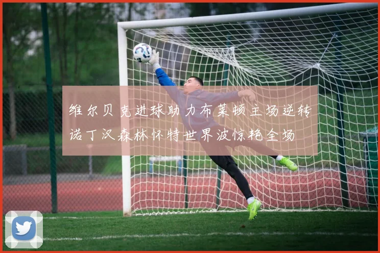 维尔贝克进球助力布莱顿主场逆转诺丁汉森林怀特世界波惊艳全场